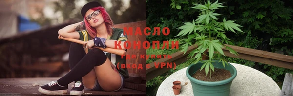 spice Дмитриев