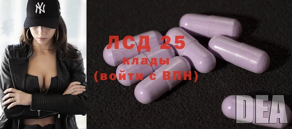 spice Дмитриев