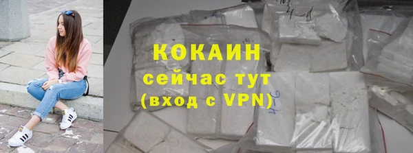 spice Дмитриев