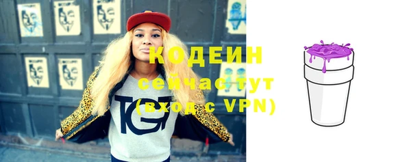 spice Дмитриев
