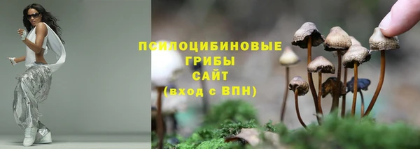 прущий лед Дмитров