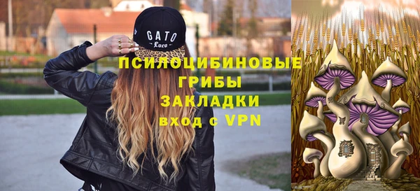прущий лед Дмитров