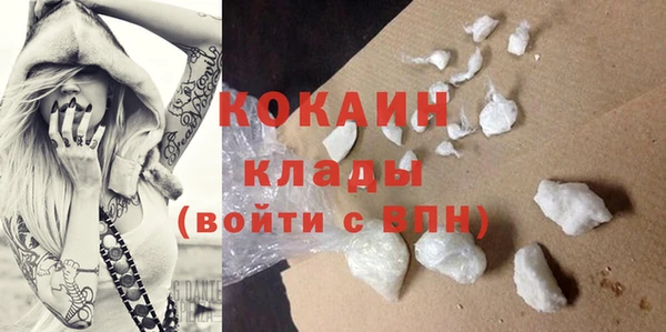 тгк Дмитровск