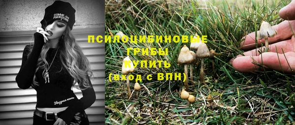 spice Дмитриев