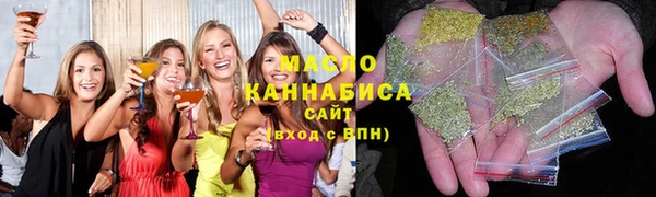 spice Дмитриев