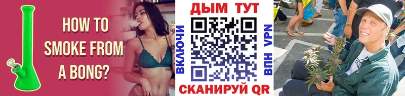 Купить где  Яхрома  Бошки марихуана семена 